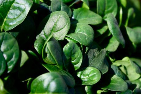 私たちを幸せにする9つの食べ物