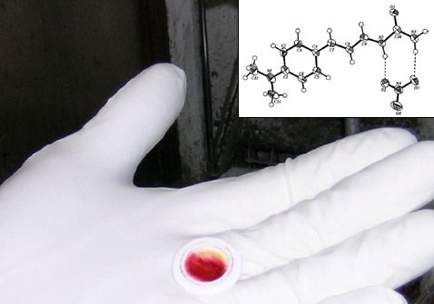 皮膚細胞スプレーが栄養性潰瘍の治療に効果があることが証明された