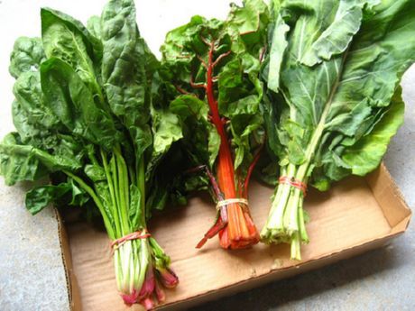 葉物野菜