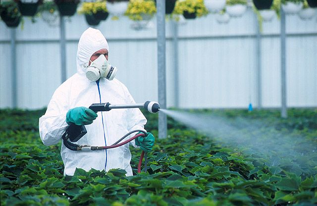 ナノ農薬：新しい解決策または新しい脅威？ 