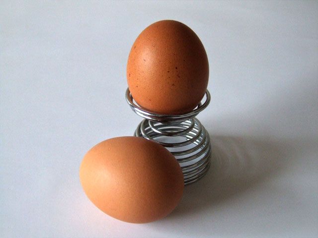 卵食の欠点