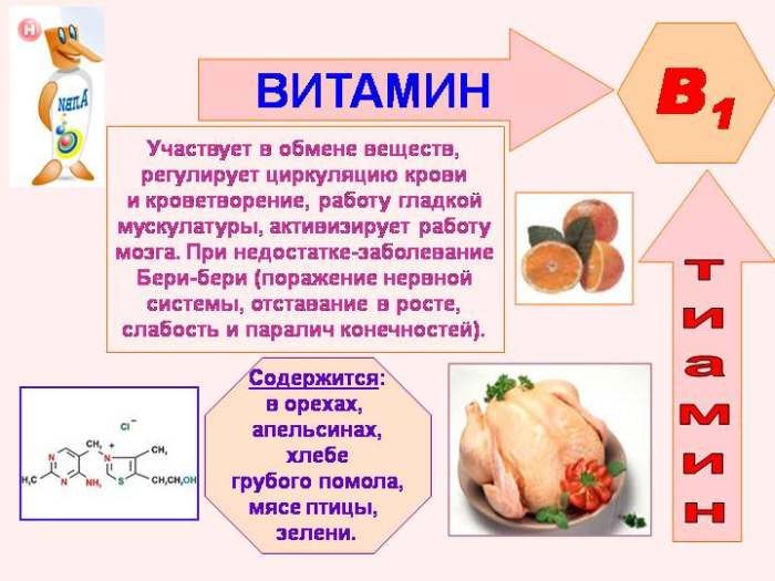 ビタミンB1の性質